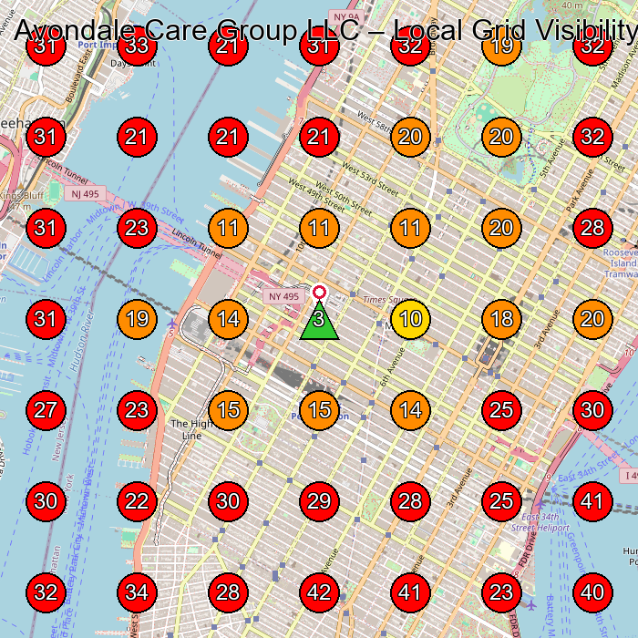 Avondale Care Group LLC GeoGrid visibility map for Social Services Organization in New York
